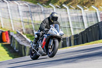 Oulton-Park-20th-March-2020;PJ-Motorsport-Photography-2020;anglesey;brands-hatch;cadwell-park;croft;donington-park;enduro-digital-images;event-digital-images;eventdigitalimages;mallory;no-limits;oulton-park;peter-wileman-photography;racing-digital-images;silverstone;snetterton;trackday-digital-images;trackday-photos;vmcc-banbury-run;welsh-2-day-enduro